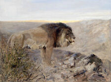 Oil painting wild animals King of beasts lions on the mountains landscape canvas picture