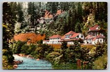 Shasta Springs Station Railroad California Ca S.P.R.R. Route Mitchell Postcard picture