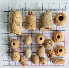 Collection Of Roman Anglo Saxon Medieval Lead Weights picture