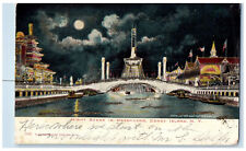 1906 Moon Night Scene In Dreamland Coney Island New York NY Antique Postcard picture