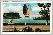 Shikellamy Heights On Susquehanna Trail Williamsport PA WB C1920's Postcard K9 picture
