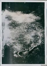 1939 Helen Meany Silver Springs Fl Diver Bubbles Farewell Sprint Wirephoto 5X7 picture