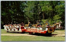 Silver Springs Florida 1960s Postcard Sleigh Ride Tommy Bartlett's Deer Ranch picture