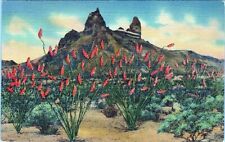 Mule Ear Peak Chisos MTS. Texas 9A-H766 Postcard Unposted picture