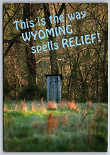 This is the way Wyoming Spells Relief Outhouse Tom Bynum Curteich 6x4  Postcard picture