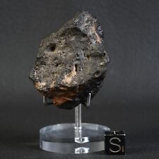 Meteorite Lunar Nwa 14798 Of 72,40 G Achondrite Feldsp. Brecciated Moon #C021 picture