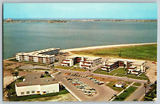 St. Petersburg, Florida - Lynnbrook Apartments - Vintage Postcard - Unposted picture