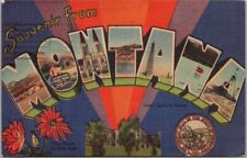 Vintage MONTANA Large Letter Postcard State Capitol & Flower / Linen 1947 Cancel picture