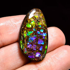 25.50Cts. Natural Ammolite Fire Play Fancy 29X16X5 mm Cabochon Loose Gemstone picture