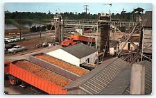 1950s CALIFORNIA ORANGES BEING TRUCKED FOR PROCESSING PLANT POSTCARD P3042 picture