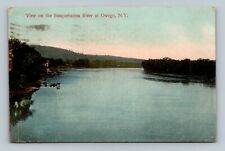 View on the Susquehanna River at Owego New York NY Postcard picture