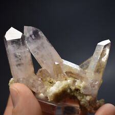EXCEPTIONAL Amethyst Crystal Cluster (Veracruz, Mexico) -  #321 picture
