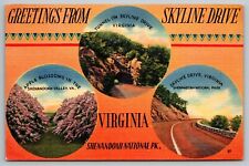 Shenandoah National Park VA Greetings Skyline Drive Linen Postcard c1940s picture