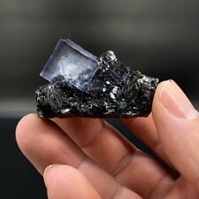 Lovely Purple Fluorite Crystals on Sphalerite - Elmwood Mine, Tennessee picture