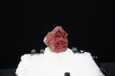 Spessartine Garnet / Gem Quality Mineral Specimen / Navegadora Claim, Brazil picture