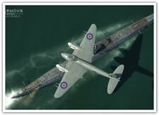 aircraft_airplane_De Havilland Mosquito_video games_World War II_IL-2 Sturmovik picture
