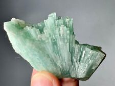 325 Carat Natural Tourmaline Crystal Bunch Specimen From Afghanistan picture