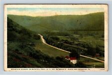 Mountain Scenery, Bucktail Trail, Wildflowers Pennsylvania Vintage Postcard picture