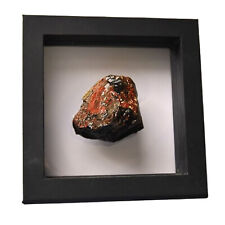 Floating Dinosaur Bone Agatized Framed Unique Ornamental Gift Decor Mantra Rock picture