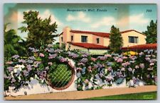 Florida, Bougainvillia Wall, Flowers, House, Antique, Vintage Postcard picture
