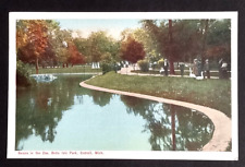 Belle Isle Park Swans in the Zoo Scenic View Detroit Michigan MI Postcard c1910s picture