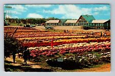 North East PA-Pennsylvania, Best Western Motel, Antique Vintage Postcard picture