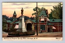 Saratoga NY-New York, Congress Spring Park, Antique Vintage c1907 Postcard picture