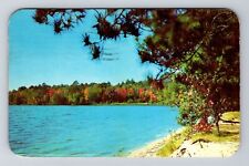 Frankfort MI- Michigan, Scenic View, Along the Shore, c1951, Vintage Postcard picture