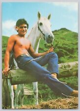 Postcard South Seas Island Man Paniolo Flower Behind Right Ear Shirtless w Horse picture