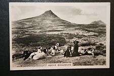 BRAEMORE CAITHNESS  Scottish Grouse Moor  Gundogs  Vintage Photocard  FD21 picture