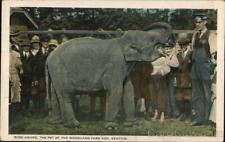 1922 Seattle,WA Wide Awake,the Pet of the Woodland Park Zoo King County Postcard picture