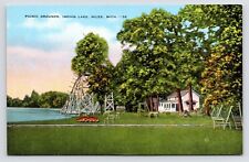 c1930s Picnic Grounds~Indian Lake~Niles Michigan VTG Linen Postcard picture