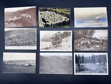 Lot of 9 Victorian Era Antique RPPC Postcards Sheep Pasture Grazing Lowell Lake picture