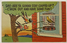 Vintage Humor Postcard, Birds Outside talking to Bird Inside picture