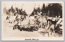 Scottville Michigan~Large Deer Herd Population In Area~Real Photo Postcard~RPPC picture