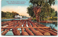Louisiana-The Bayou Teche-Sunset Route-Southern Pacific Rail-Mitchell Postcard picture