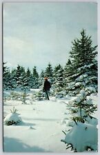 Aroostook County Maine Scenic Winter Landscape Mountains Chrome UNP Postcard picture