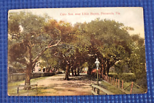 Vintage c1908 Tree Lined Caro Avenue near Little Bayou Pensacola FL Postcard picture