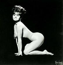 Vintage Photo 8.5x11   #24848 Lovely Burlesque Stripper Linda Brigitte picture