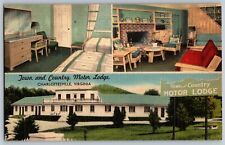 Charlottesville, Virginia VA - Town & Country Motor Lodge - Vintage Postcard picture
