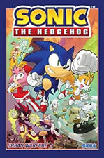 Sonic the Hedgehog, Vol. 15: Urban Warfare Paperback Evan, Flynn, picture