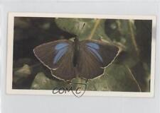 1983 Doncella British Butterflies Tobacco Purple Hairstreak #24 a8x picture