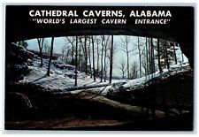 c1960's Cathedral Caverns Alabama World Largest Cavern Entrance Alabama Postcard picture