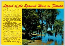 1970s Florida Legend Spanish Moss Florida Sunshine State Vintage Postcard picture