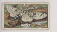 1938 Gallaher Butterflies and Moths Tobacco Leopard #4 1i3 picture