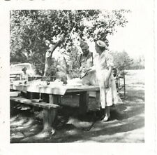 Vintage Photograph older couple cutting their anniversary cake outdoors 1956 picture