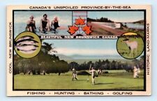 Beautiful New Brunswick Canada 'fishing-hunting-bathing-golfing' Postcard picture