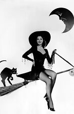 Ava Gardner 4 X 6 Reprint  picture