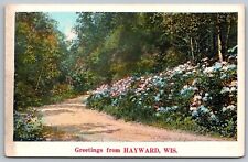 Wisconsin Greetings Hayward Country Road Flowers Floral Bush Forest VTG Postcard picture