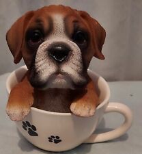 ❤ADORABLE❤ Collectable Boxer in a teacup figurine picture